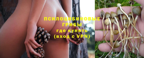 каннабис Абаза