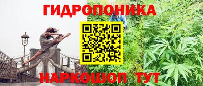 PSILOCYBIN Кимры