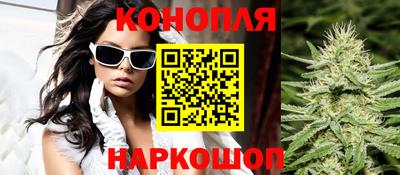не бодяженный Кингисепп