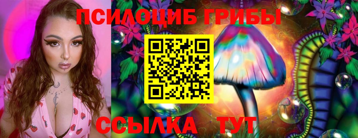 Галлюциногенные грибы GOLDEN TEACHER Красный Сулин